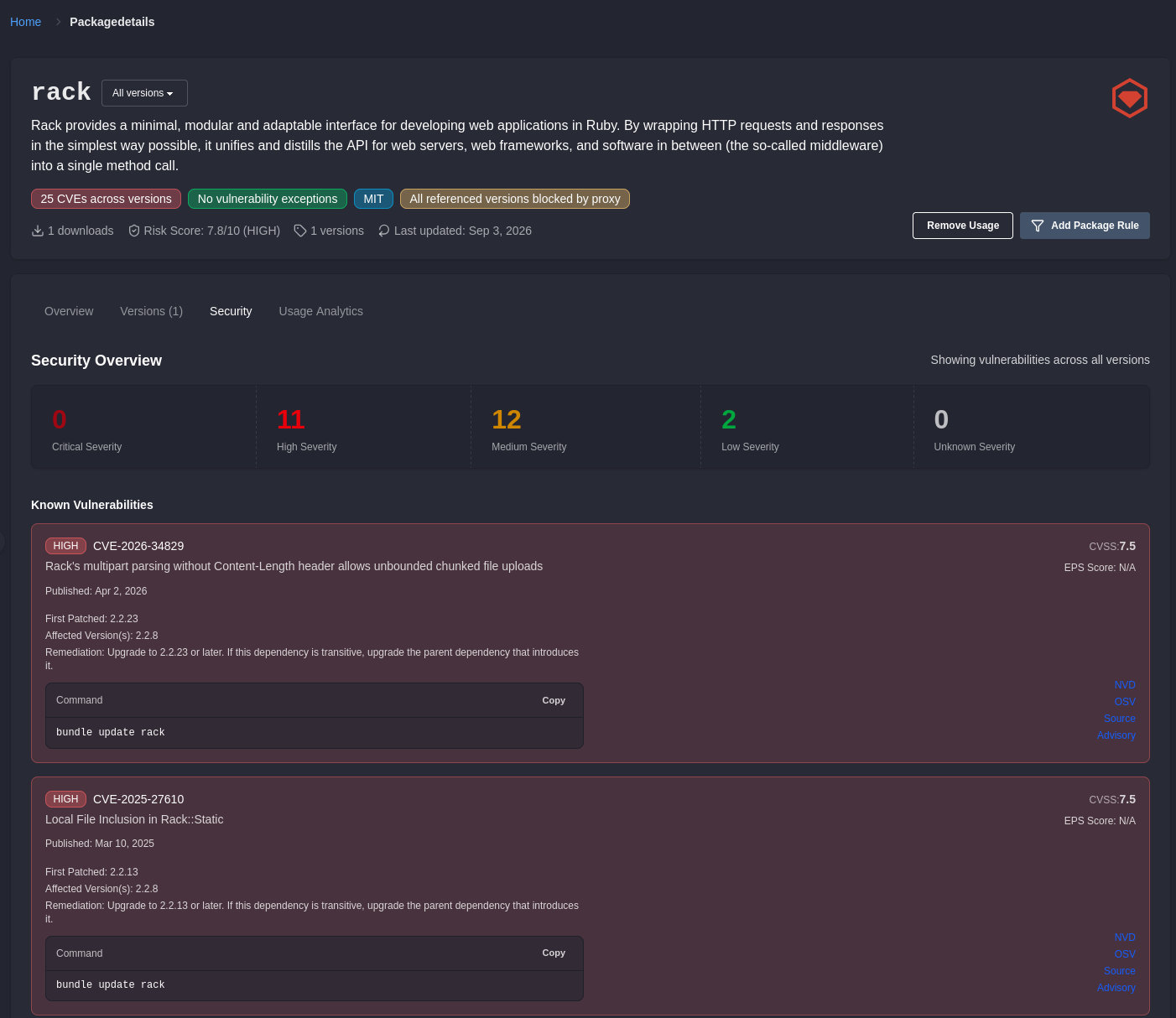 A package detail page on the Security tab showing advisories, severities, first patched versions, and the control for adding a vulnerability exception.